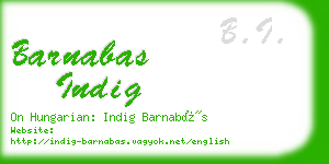 barnabas indig business card